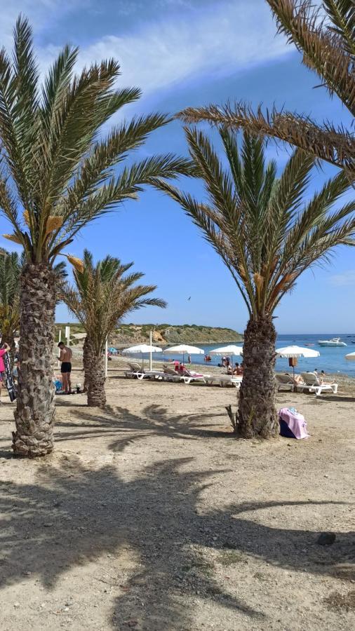 Apartment Only 250M From The Beach Los Locos Torrevieja Exterior photo